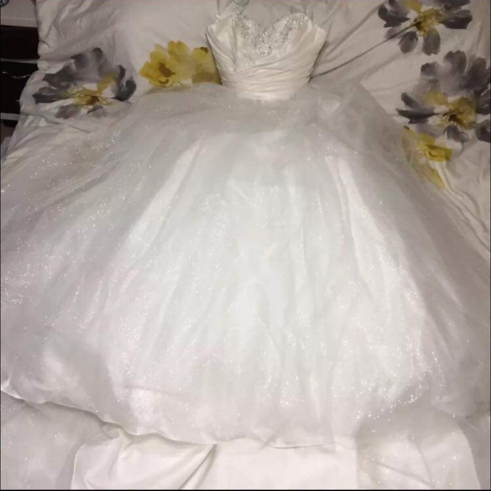 2015 Alfred Angelo Cinderella dress